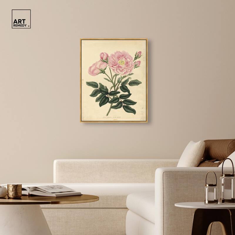 French Rose Canvas by Art Remedy