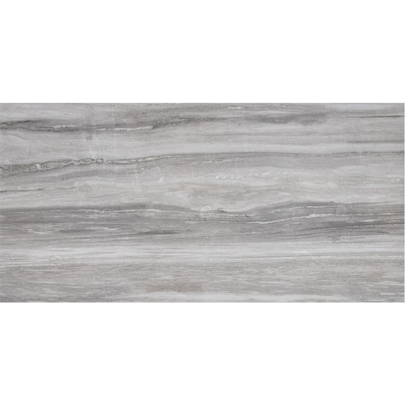 Penthouse 12x24 Polished Porcelain Tile - Floor, Wall - Large Format