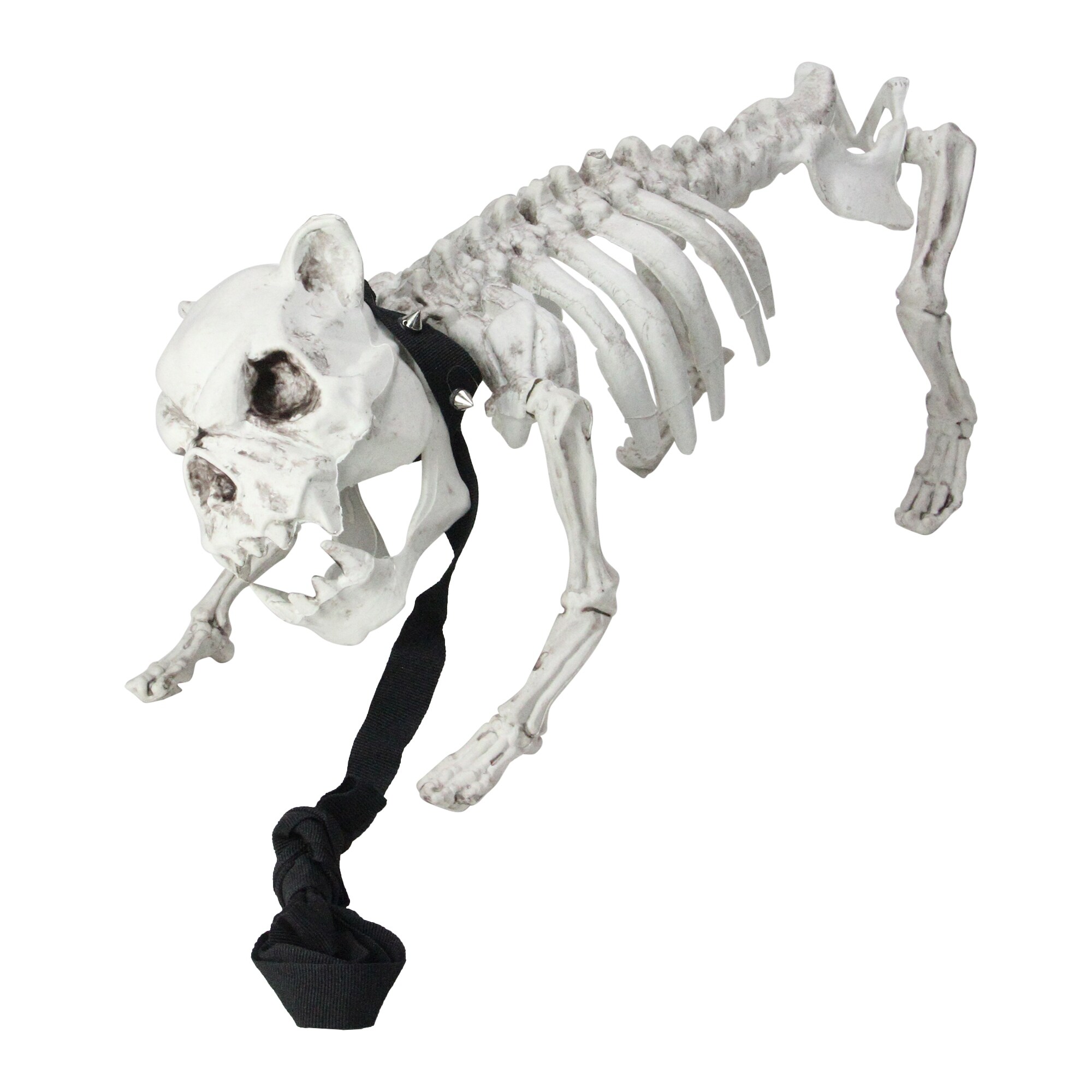 Shop 16 Gray And White Dog Skeleton On Leash Outdoor Halloween