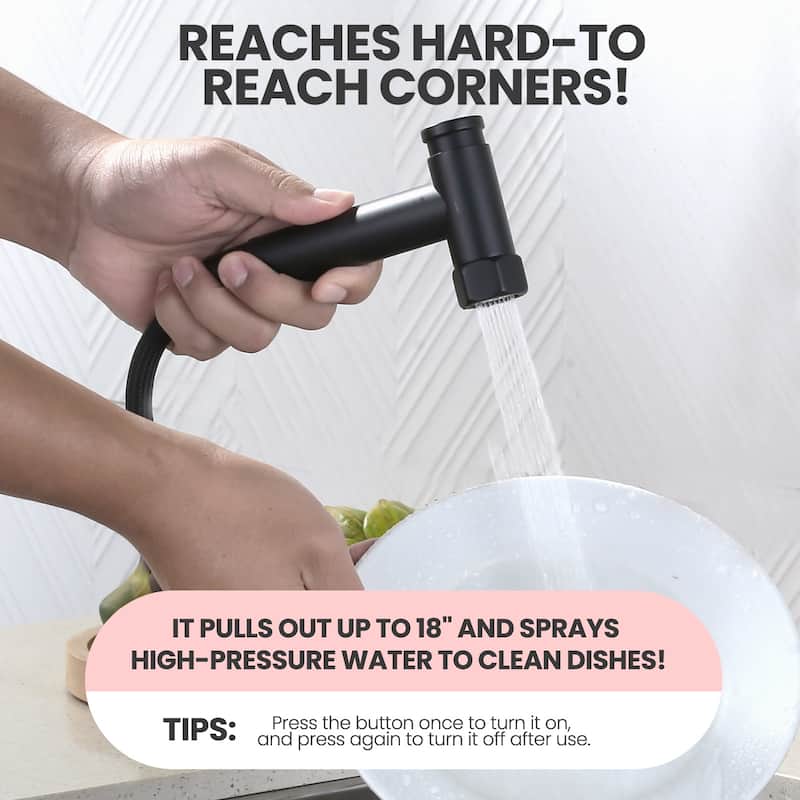 WOWOW Minimalist Bridge Kitchen Faucet with Side Sprayer