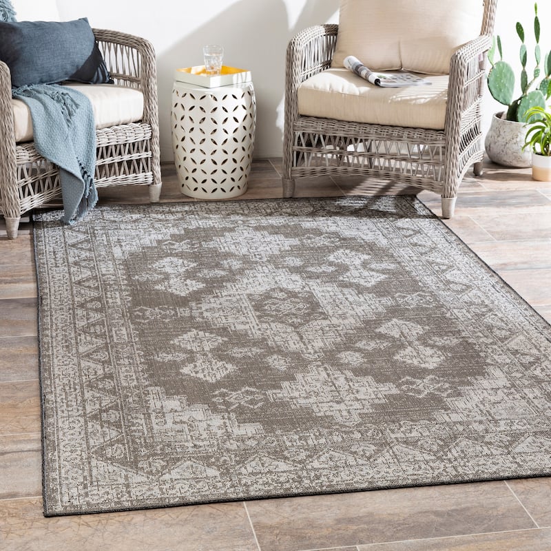 Susannah Indoor / Outdoor Updated Traditional Area Rug