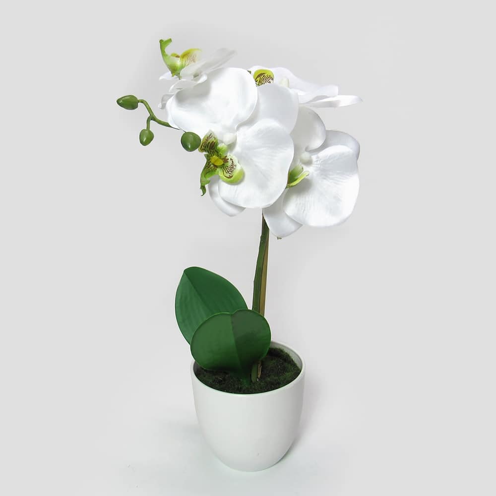 Artificial Phalaenopsis Orchid Flower Arrangement in White Pot 13in