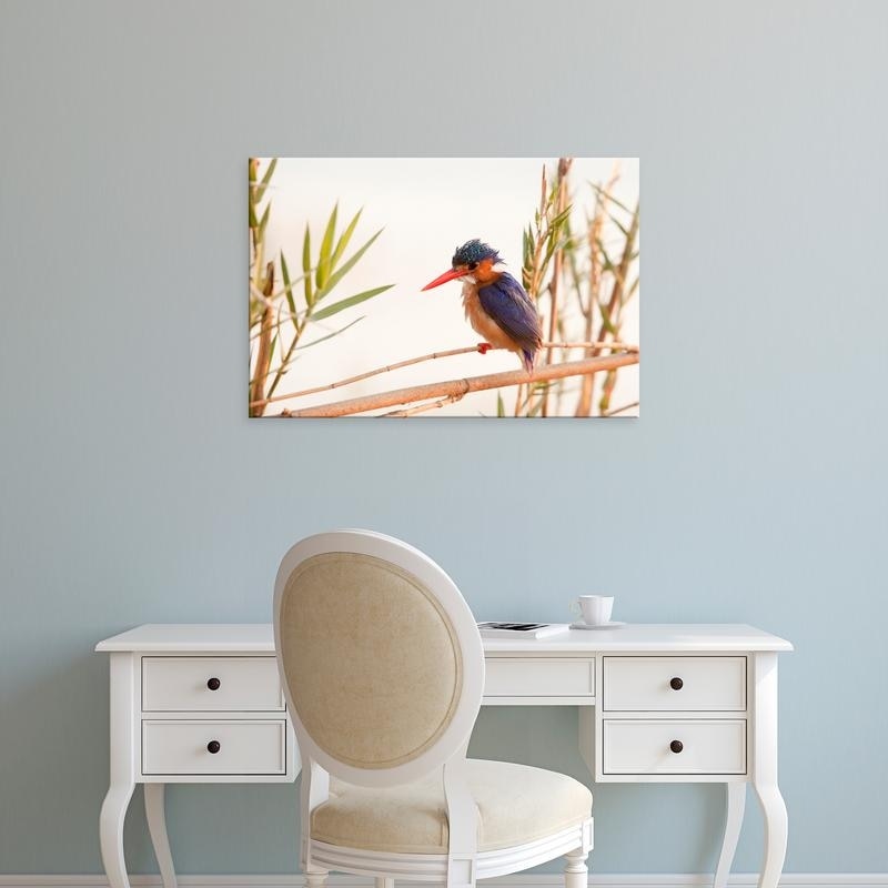 Easy Art Prints Jaynes Gallery's 'Chobe National Park Malachite Kingfisher' Premium Canvas Art