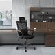 Ergonomic Office Chair with Lumbar Support Back, Adjustable Headrest - Black