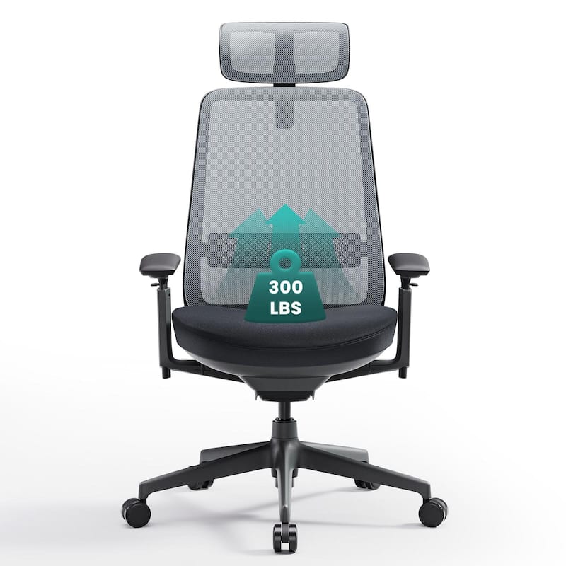 COLAMY Ergonomic Office Chair, Mesh High Back, 4D Arms, Lumbar Support, Coral - BlackGrey