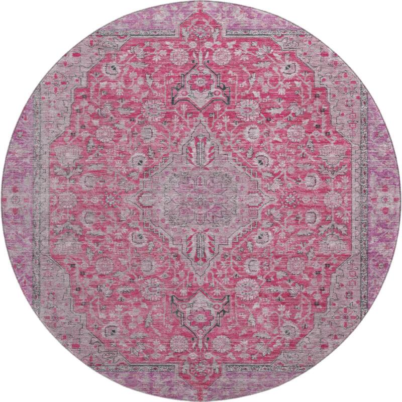 Premium Washable Super Soft Vintage Traditional Mayfield Rug