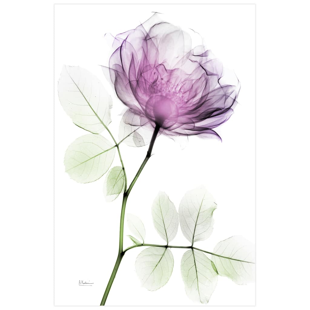 "Rose Dynasty 1" Frameless Free Floating Tempered Glass Panel Graphic Wall Art