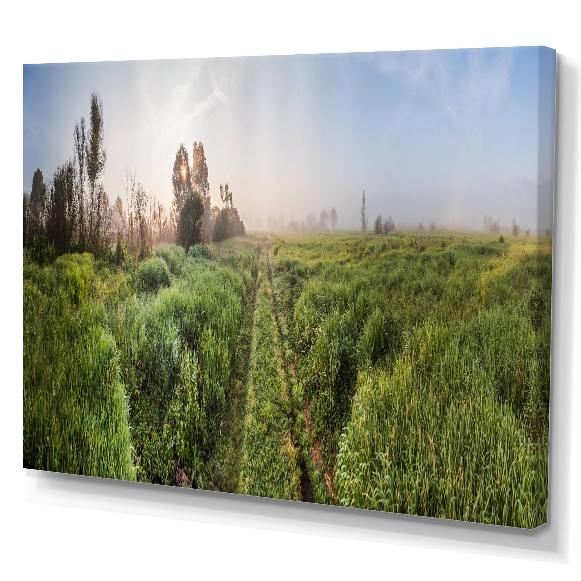 Designart "Rustic Landscape Pathway In The Fields" Country Canvas Wall