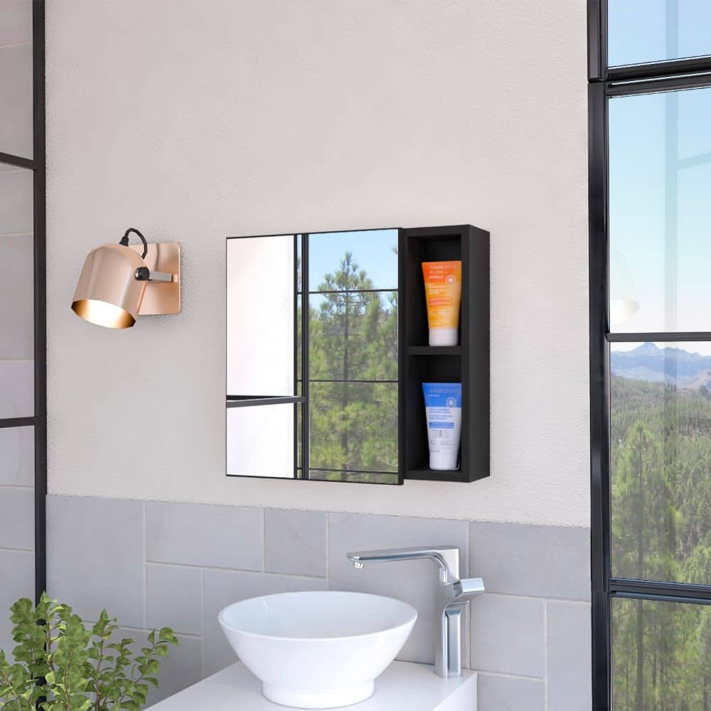 2-Shelf Medicine Cabinet with Mirror