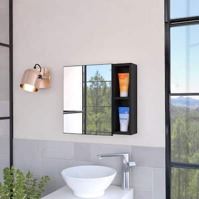 Myrick 2-Shelf Medicine Cabinet with Mirror
