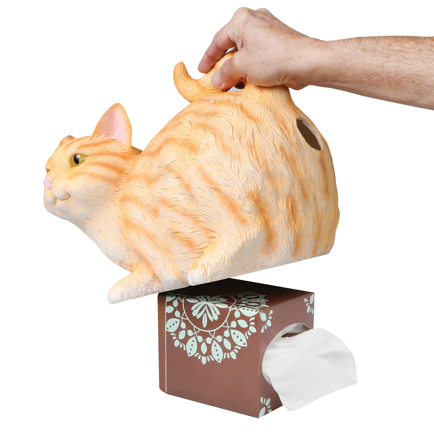 Shop Cat Butt Tissue Holder Orange Tabby Resin Fits Standard