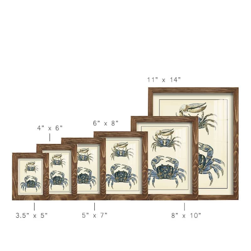 Antique Blue Crabs II -Framed Print w/glass-Cherry Red