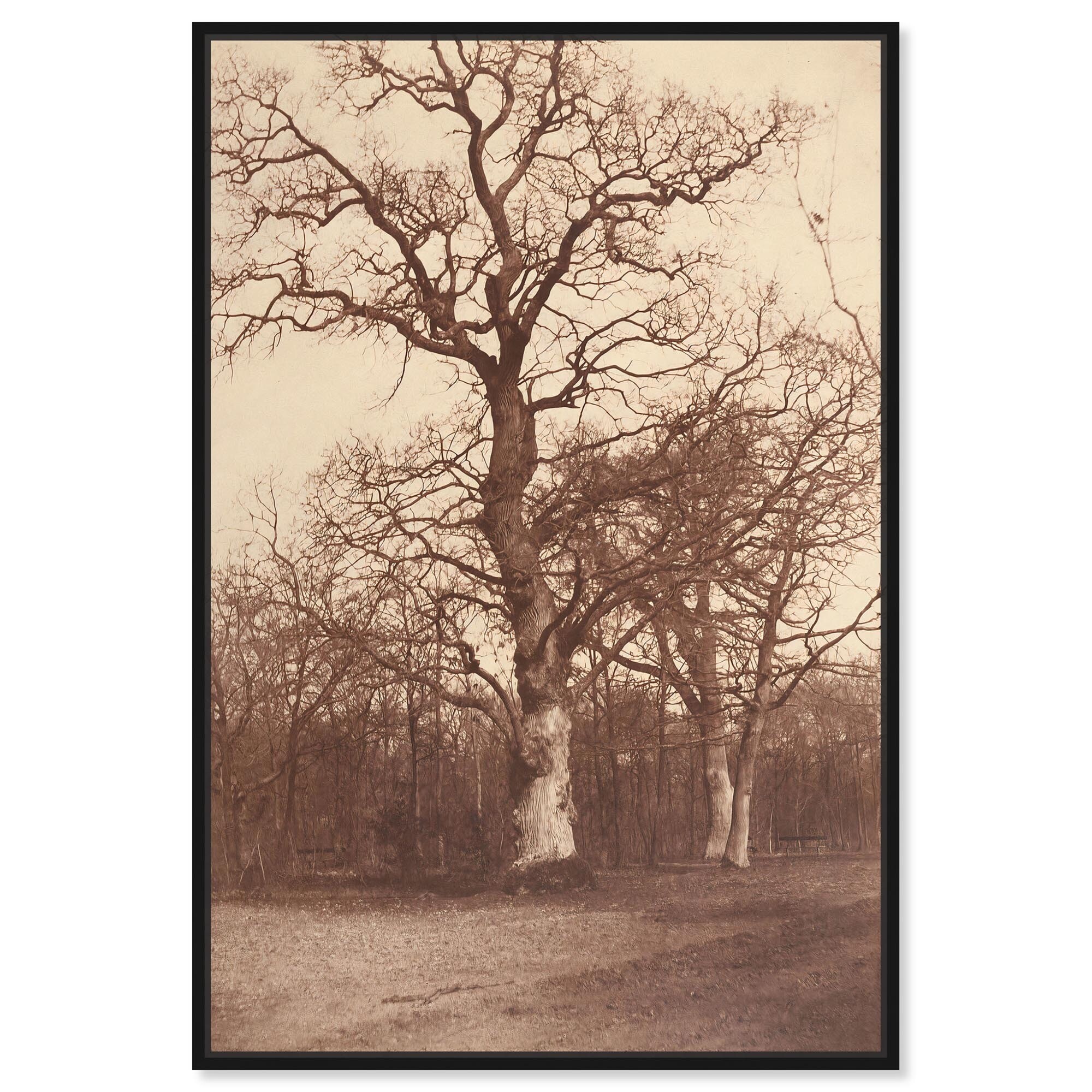 Trees In late 19s Canvas Vintage Landscape Art by Art Remedy