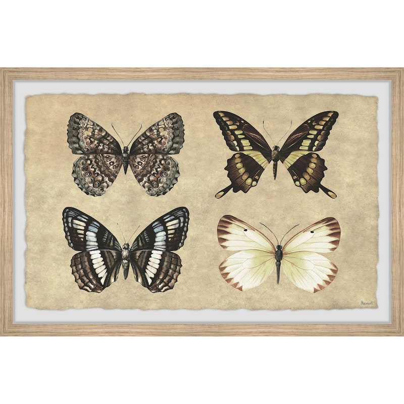 Her Wings Unfolded Framed Print