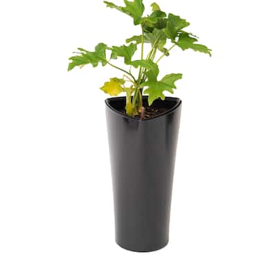 XBrand 22.4" H Black Plastic Self Watering Indoor Outdoor Triangle Planter Pot w/Glossy Finish, Tall Decorative Gardening Pot