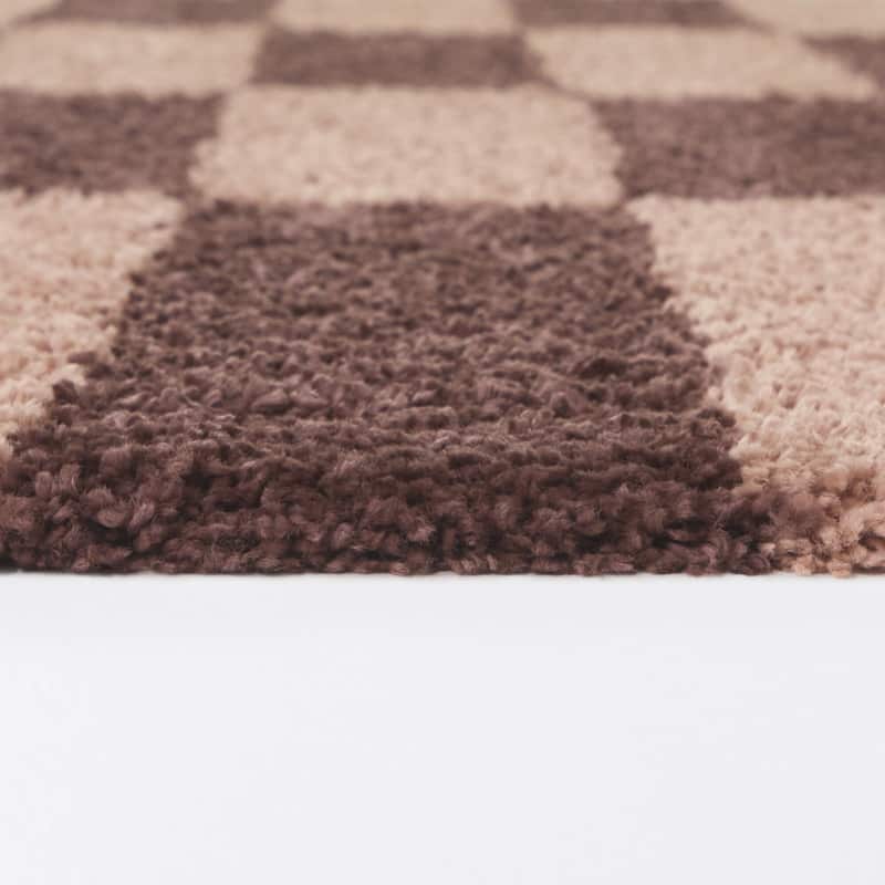 Dixon Checkered Shag Area Rug