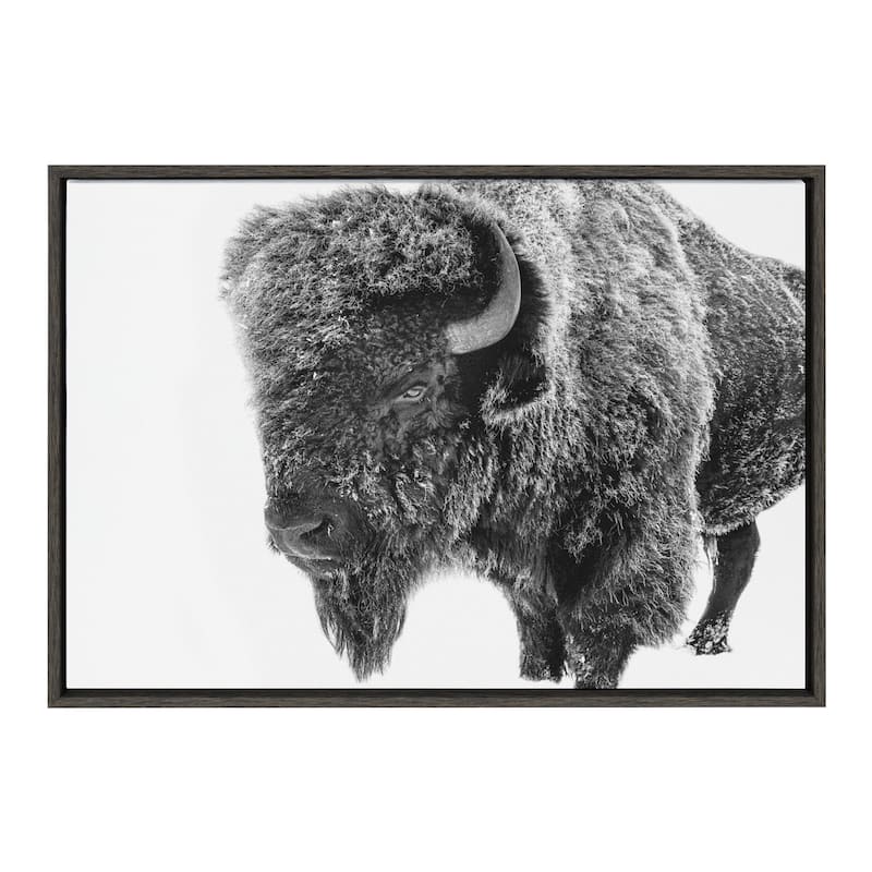 Kate and Laurel Sylvie Bison in Snow Black and White Framed Canvas by Amy Peterson Art Studio