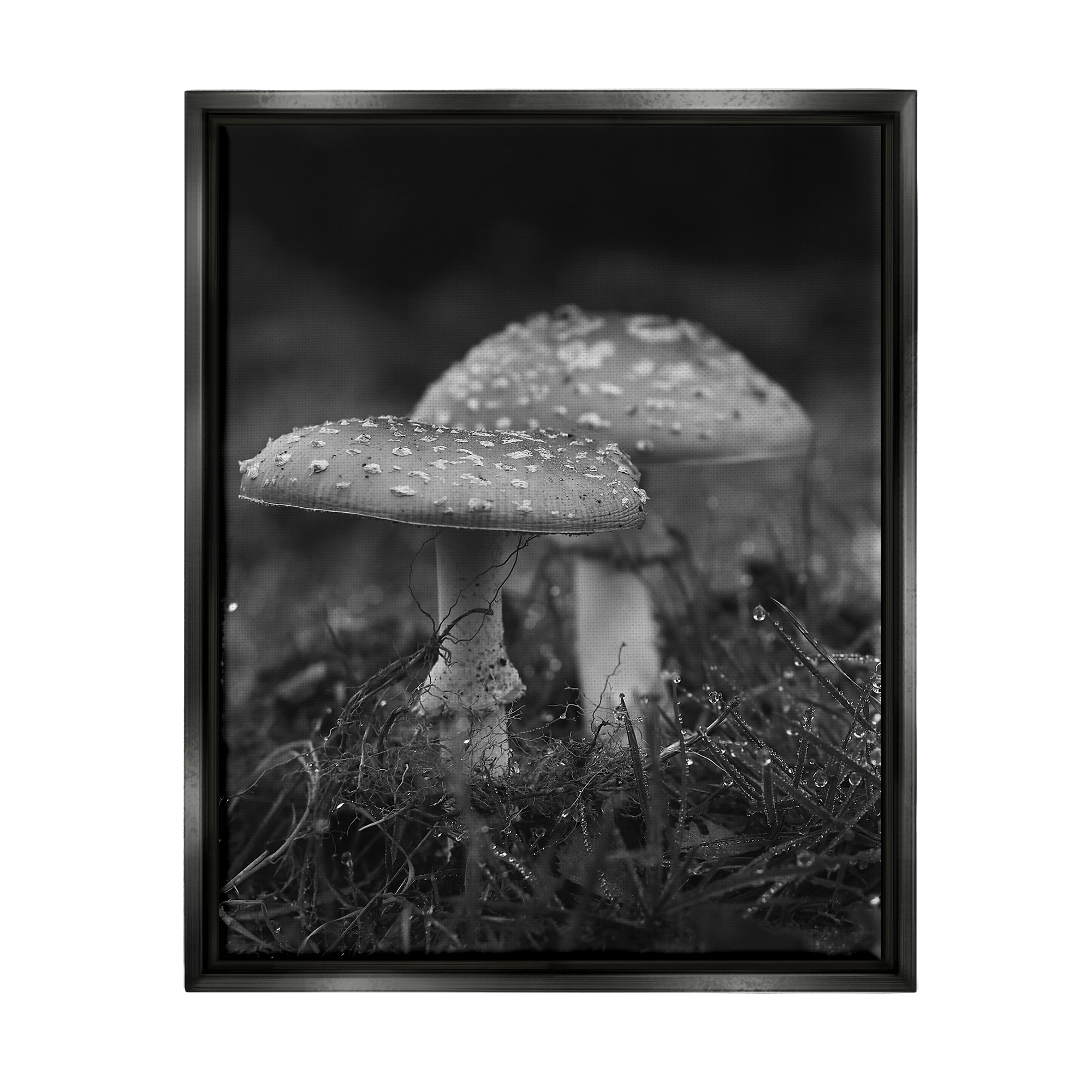 Stupell Grey Mushroom Photography Framed Floater Canvas Wall Art Design by Lil' Rue