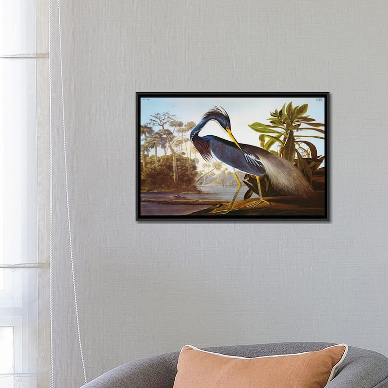 iCanvas "Louisiana Heron From "Birds of America"" by John James Audubon Framed Canvas Print
