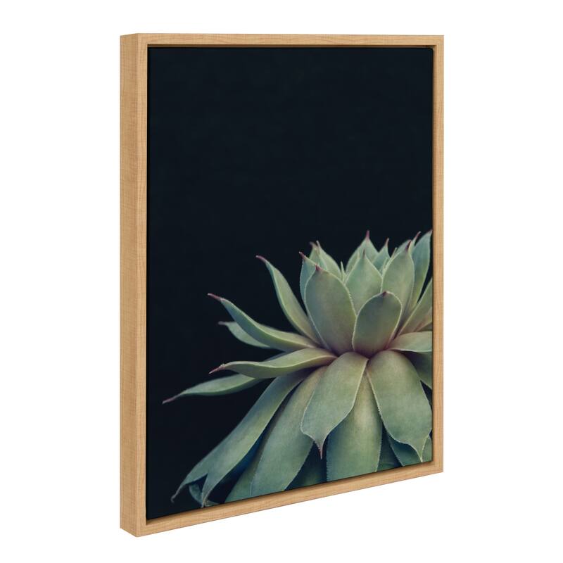 Sylvie Succulent 18x24 Gold Framed Canvas Wall Art by F2 Images - 18x24 - Plastic - Brown