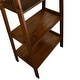 preview thumbnail 25 of 29, Porch & Den Peterson 5-shelf Ladder Bookcase