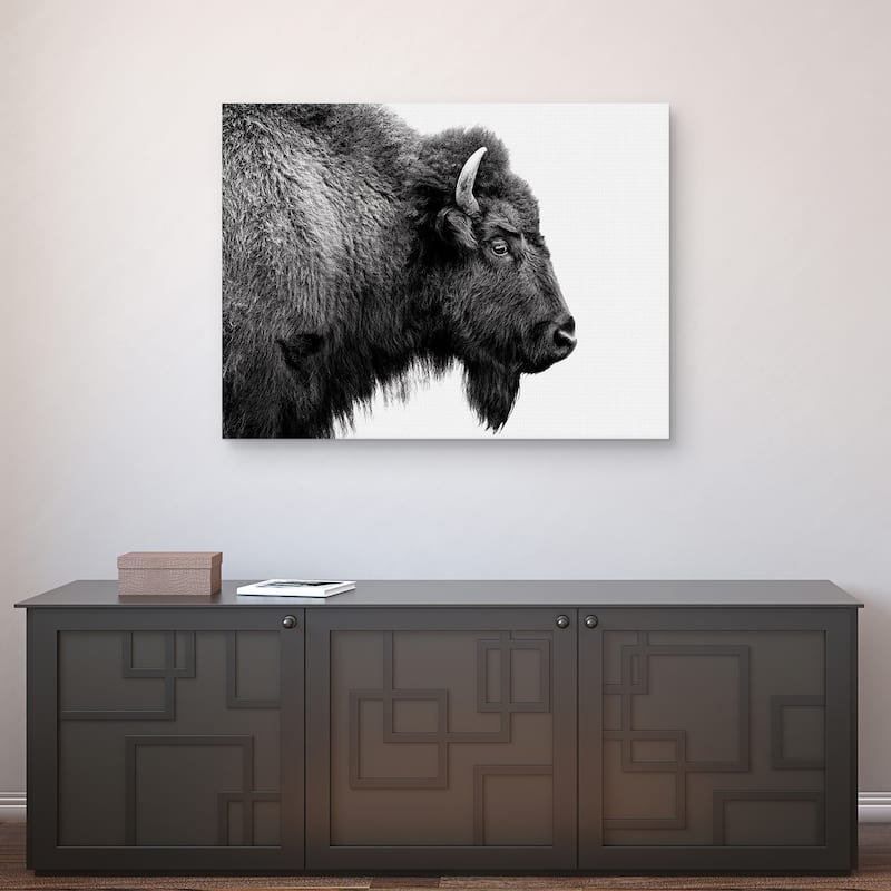 Buffalo Profile B&W by Belle Maison Canvas Art Print