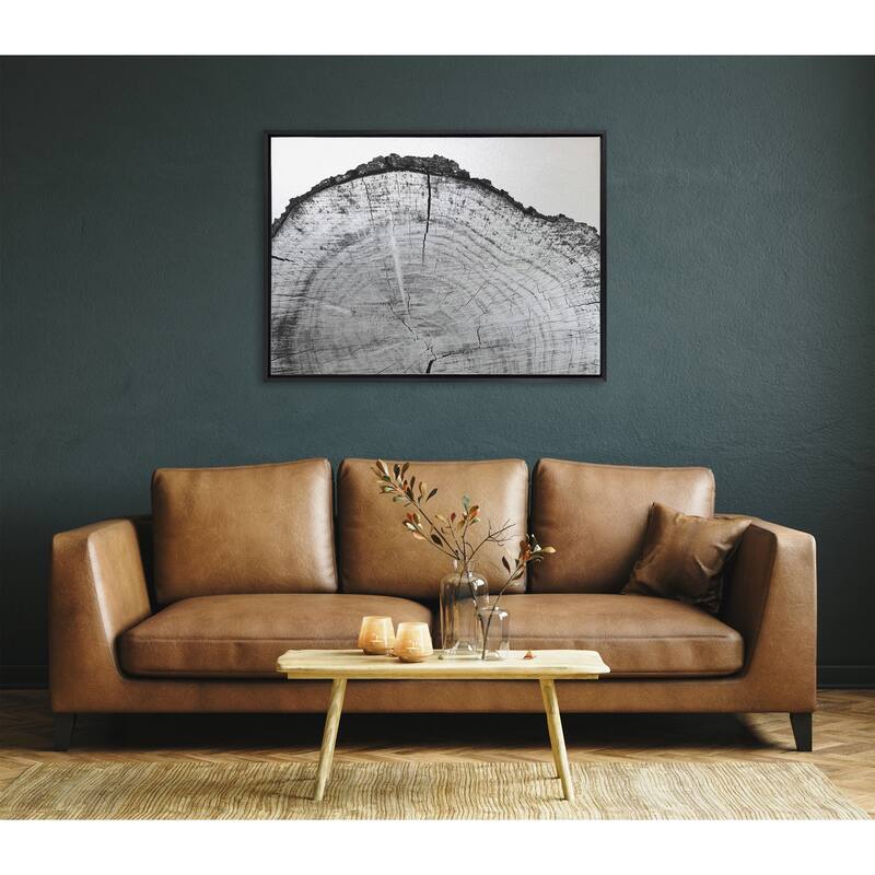 Kate and Laurel Tree Rings BW Framed Canvas by Emiko and Mark Franzen