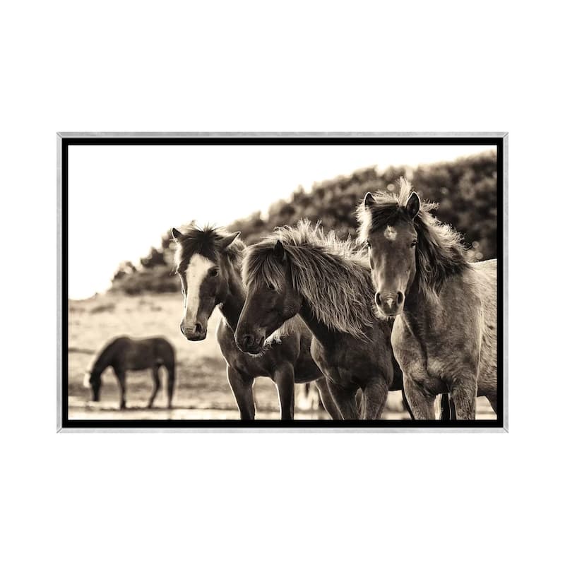 iCanvas "Horses Three Sepia" by Aledanda Framed