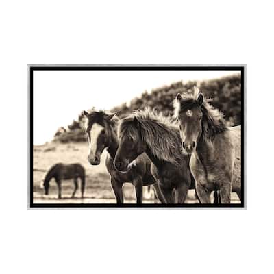 iCanvas "Horses Three Sepia" by Aledanda Framed