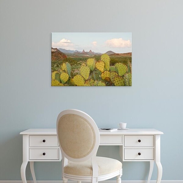 Easy Art Prints Larry Ditto's 'Chisos Mountains' Premium Canvas Art