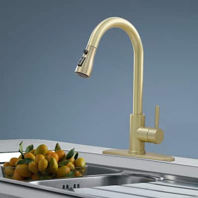 Topcraft Single Handle Pull-Out Stainless Steel Kitchen Faucet