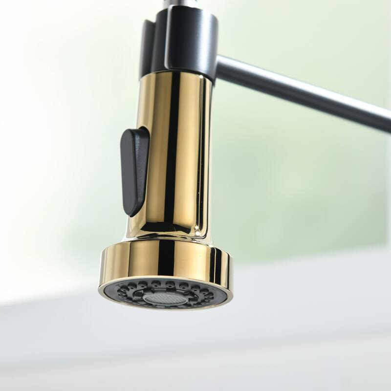 Kitchen Faucet with Pull Down Sprayer, Spring Kitchen Sink Faucet
