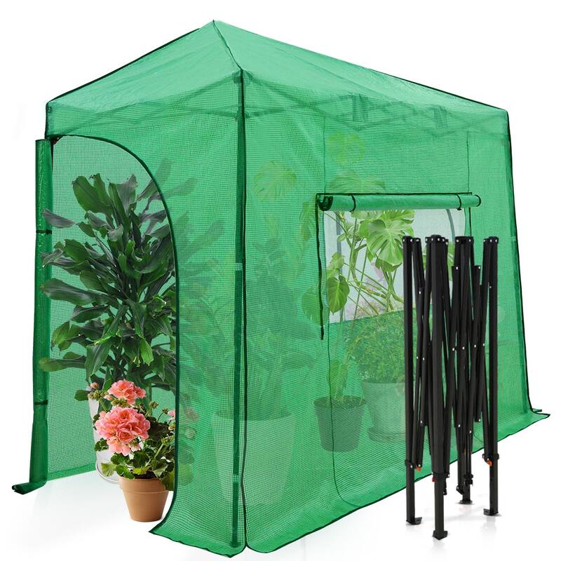 EAGLE PEAK 10x5 Portable Lean to Walk-in Greenhouse Pop-up Indoor Outdoor Canopy, Roll-Up Entry Doors and Roll-Up Side Windows