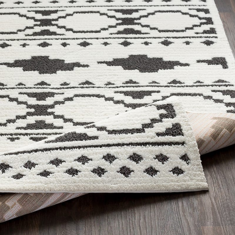 Livabliss Amerigo Bohemian Global Plush Area Rug