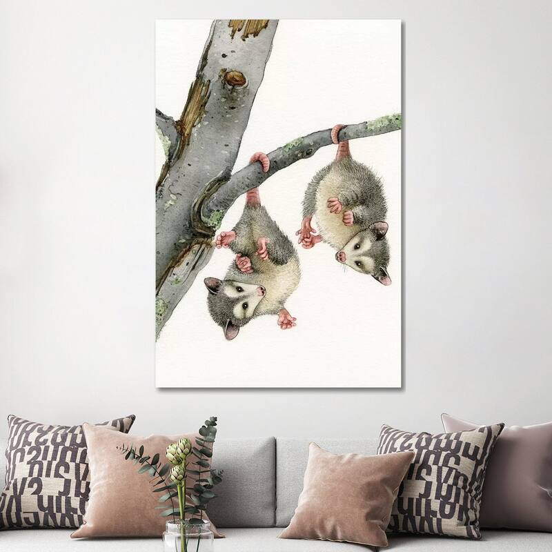 iCanvas "Playful Possums" by Tracy Lizotte Canvas Print