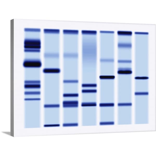 "DNA Sequencing Gel, Close-Up" Canvas Wall Art