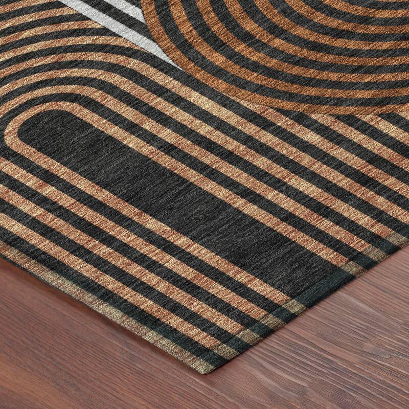 Machine Washable Indoor/ Outdoor Modern Basehor Chantille Rug