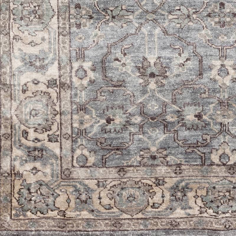 Hand-Knotted Bingham Border Viscose Area Rug