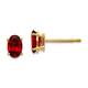 Option Garnet