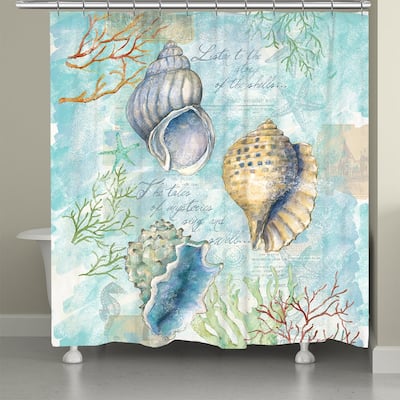 Laural Home Sketchbook Shells Shower Curtain 71x72