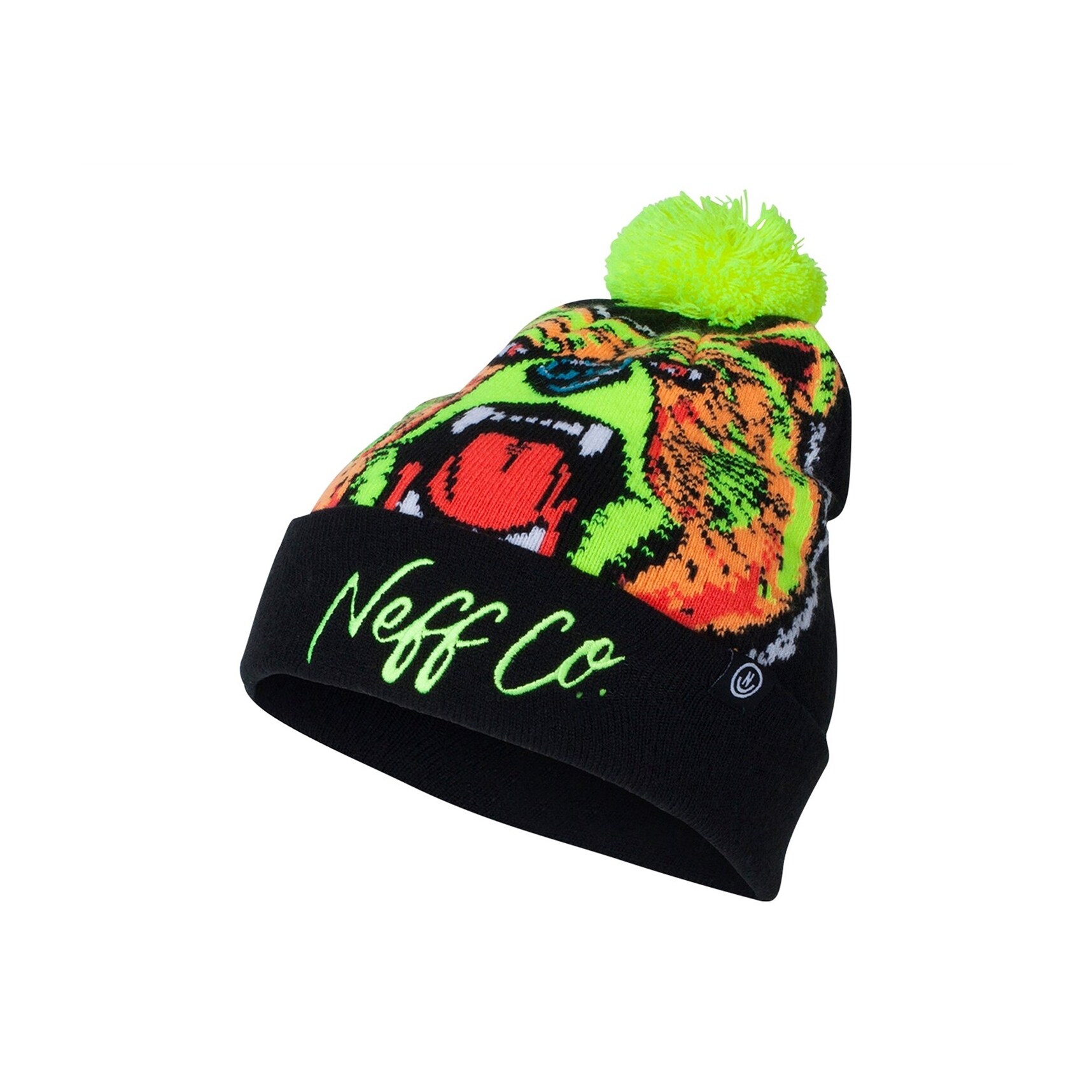 neff beanie hat