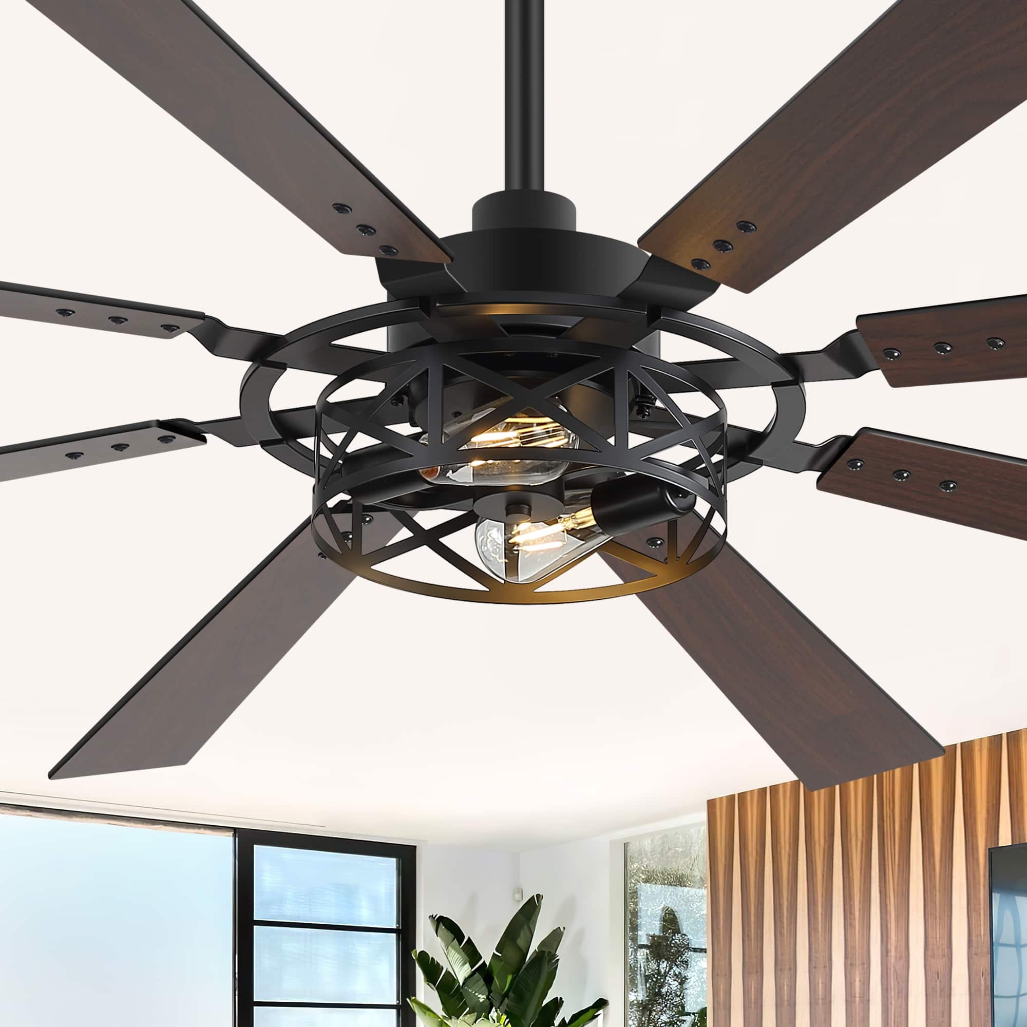 Option Black-65"