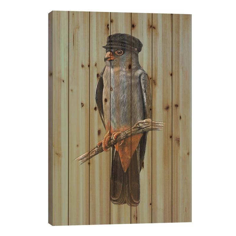 Red-Footed Falcon Print On Wood by Mikhail Vedernikov - Multi-Color - 40x26x1.5