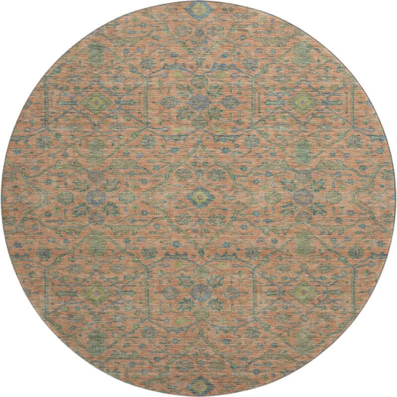 Premium Washable Super Soft Traditional Persian Mayfield Rug
