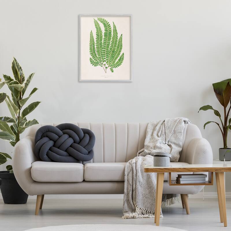 Stupell Cottage Ferns Study Framed Giclee Art Design By Phillipa Katz