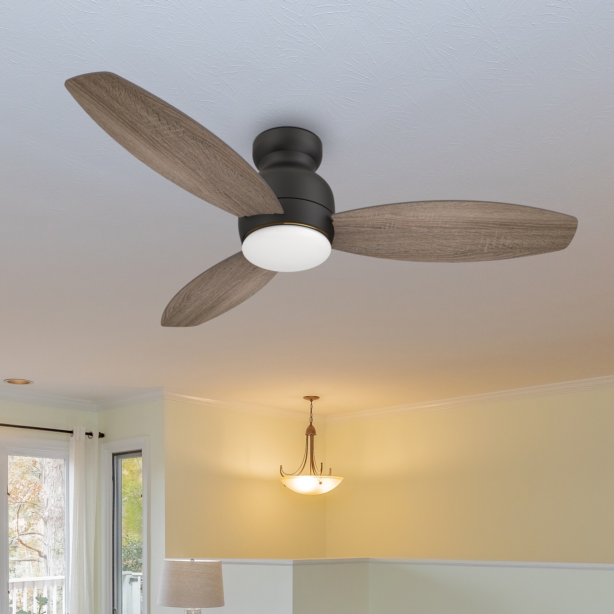 Ceiling fan works with google home top