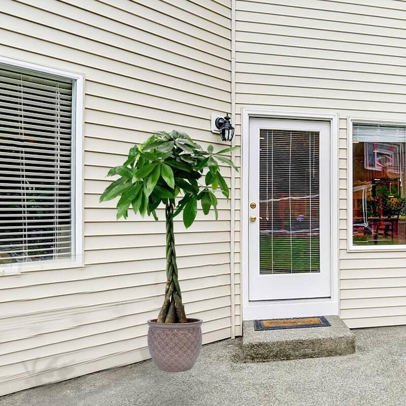 3 Pack Handmade Glazed Ceramic Planter, Ring Pattern Planter Pot