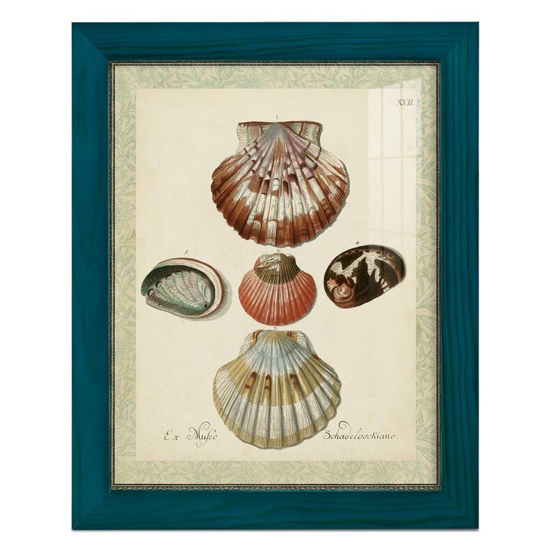 Bookplate Shells III -Framed Print w/glass-Cherry Red