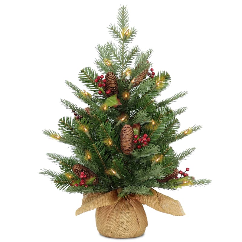 National Tree Company 2 ft. Nordic Spruce Tree with Battery Operated Warm White LED Lights - 2 Foot