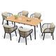 Option Canvas Antique Beige